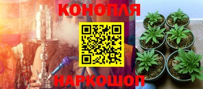 каннабис Гусиноозёрск