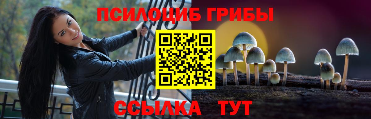 Галлюциногенные грибы прущие грибы Луховицы